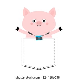 Pig face head in the pocket. Photo camera. Cute cartoon animals. Piggy piglet character. Dash line. White and black color. T-shirt design. Baby background. Isolated. Flat design. Vector illustration