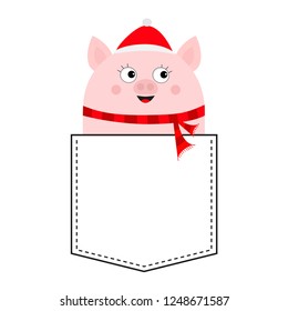 Pig face head in the pocket. Piggy piglet character. Cute cartoon animals. Dash line. Santa hat, scarf. White and black color. T-shirt design. Baby background. Isolated Flat design Vector illustration