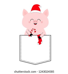 Pig face head in the pocket. Santa hat, candy cane, sock. Cute cartoon animals. Piggy piglet character. Dash line. White and black color. T-shirt design. Baby background. Isolated. Flat design. Vector
