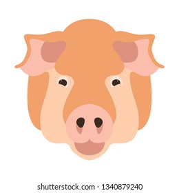 pig face,vector illustration,flat style,front side