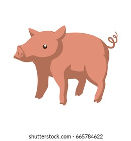 Pig farm animal