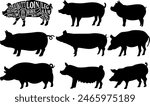 Pig Farm Animal Set of Vector
