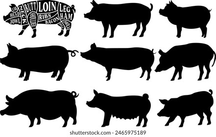 Pig Farm Animal Set of Vector