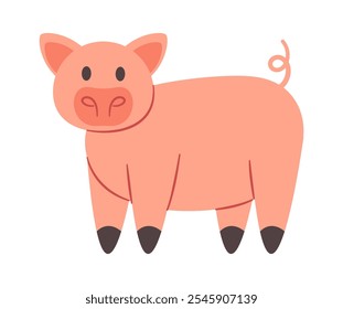 Pig farm animal vector illustration
