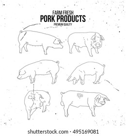Pig Farm, Fresh Pork, Natural product. Butcher Shop. Linear illustration of a pig. Hand drawn pig.