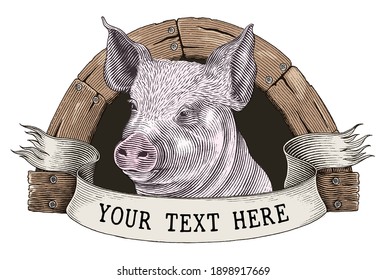 Pig farm logo hand draw vintage engraving style clip art isolated on white background