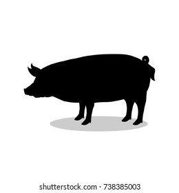 Pig farm mammal black silhouette animal