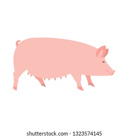 pig flat icon.You can be used pig icon for several purposes like: websites, UI, UX, print templates, presentation templates, promotional materials, web and mobile phone apps