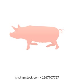 Pig flat isolated on white background