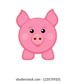 Pig flat vector isolated on white background