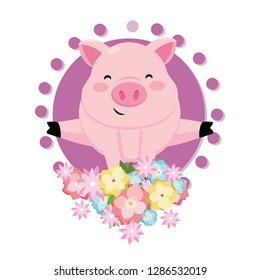 pig with flower