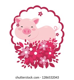 pig with flower