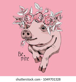 Pig in a flower Rose headband on a pink background. Vector illustration.