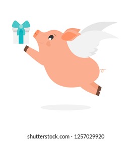 Pig flying in the air with a gift.Cute childish vector illustration. 