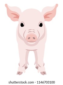 Pig Front view - 2019 Chinese Zodiac Sign