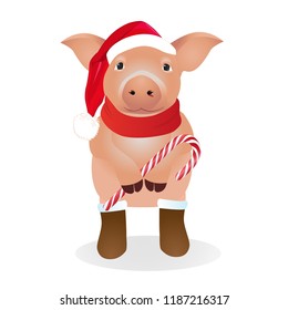 Pig in a funny Santa's red cap. Christmas and New Year card. Vector illustration.