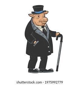 pig gentleman in clothes color sketch engraving vector illustration. T-shirt apparel print design. Scratch board imitation. Black and white hand drawn image.