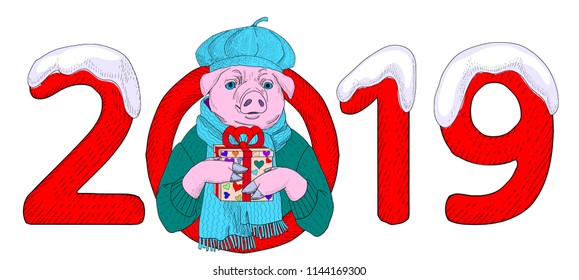 Pig with gift box. Pig is zodiac sign of 2019 Chinese New Year. Hand drawn cartoon, figures of the year and snow.