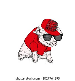 Pig in glasses and a cap. Vector illustration.