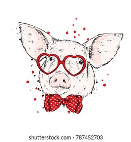 pigs with glasses