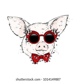 Pig in glasses and a tie with thorns. Vector illustration.