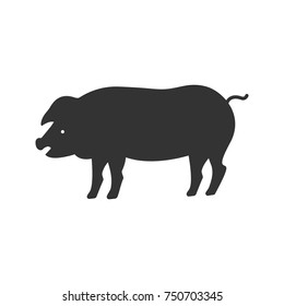 Pig glyph icon. Silhouette symbol. Livestock farming. Negative space. Vector isolated illustration