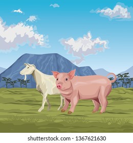 pig and goat