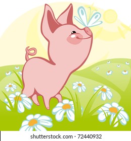 pig goes on a flower meadow. similar to the portfolio