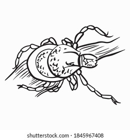 diseño gráfico de cerdo ilustración vectorial, icono, arte de tatuaje de tabernáculo, logotipo, dibujo a mano, uso en impresión