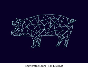Pig graphic with line connection on dark blue background. Modern vector graphic pig.