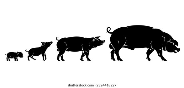 Schweinefleischanbau, Silhouettenstapel, Tierhalter-Set