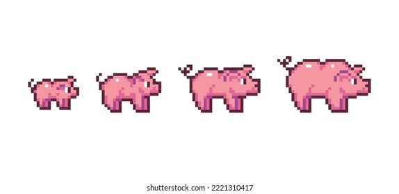 Pig growing stages pixel art set. Piggy development process collection. 8 bit sprite. Game development, mobile app.  Isolated vector illustration.