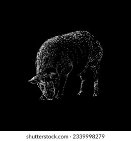 pig hand drawing vector isolated on black background.