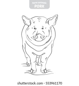 Pig hand-drawn vector illustration.