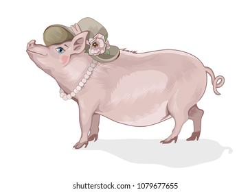 Pig in hat on white background, pig girl, vector illustration