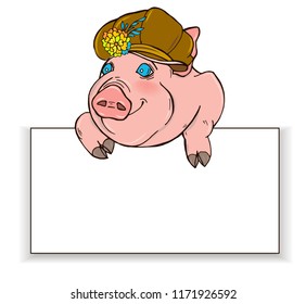 Pig in hat Peeps out from behind white rectangle, template design, vector illustration