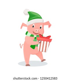 Pig in hat and scarf with gift box, New Year zodiac symbol. Animal in elf costume, domestic livestock mammal, funny piglet vector illustration isolated