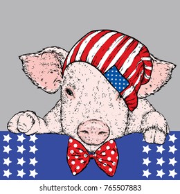 Pig in the hat. Vector illustration.
