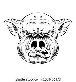 Pig Head. Black and white illustration. Isolated on light backgrond.