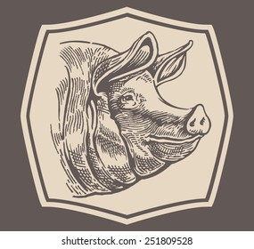 Pig Head, In The Engraving Style, Drawing By Hand.