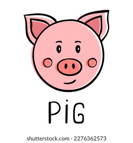 Pig head and face in doodle style. Animal vector color icon