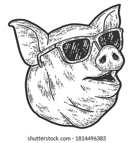Cabeza de cerdo con gafas. Esbozar la imitación de tablero de arañazos. Blanco y negro. Grabando ilustración vectorial.