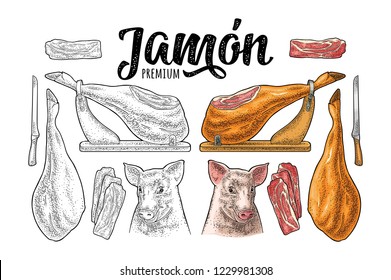 Pig head, knife, hamon slice, leg on horizontal wood stand. Jamon calligraphic handwriting lettering. Vector color and black vintage engraving illustration for menu, label. Hand drawn in graphic style