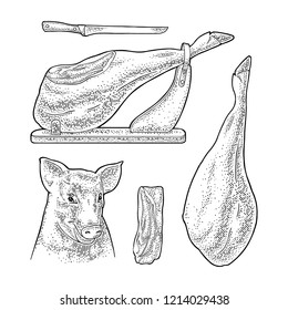 Pig head, knife and jamon on horizontal wood stand. Vector black vintage engraving illustration for menu, web and label hamon. Hand drawn in a graphic style.