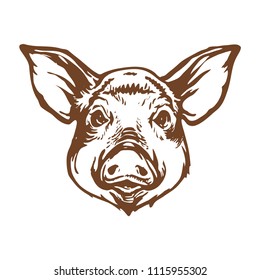 Pig head line art ink sketch stock vector illustration design for logo, tattoo and coloring book