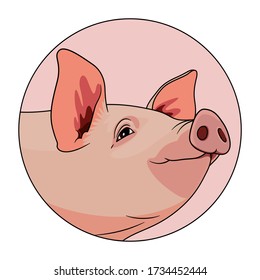 Pig head looking to the side in a pink colored circle. Animal illustration for kids book and biology lesson. Swine logotype for farm business or pork meat shop logo icon in realistic style.