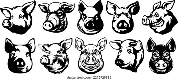 Pig head mascot. Swine logo. Hog illustration set.