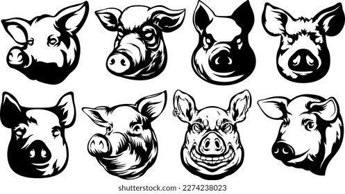 Pig head mascot. Swine logo. Hog illustration set.