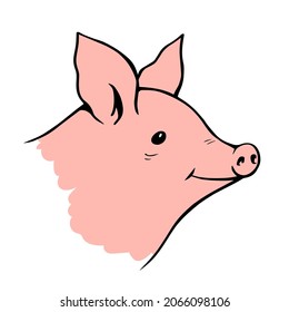 Pig head on a white background. Farming and pets. Food and meat. Vector cartoon illustration outline hand drawn