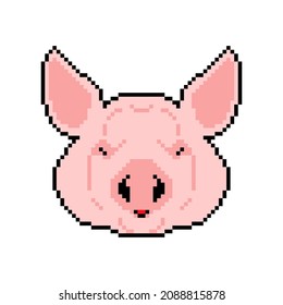 Pig head pixel art. pixelated piggy. 8bit illustration